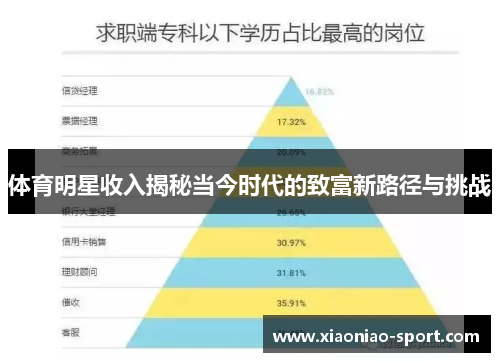 体育明星收入揭秘当今时代的致富新路径与挑战
